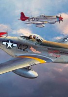 P51D Mustang Tuskegee Airmen Limitovaná edice - Hasegawa 08225