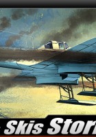 IL-2 与滑雪风暴 - 学院 12286