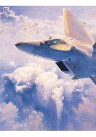 F-22 Raptor USAF - Hasegawa 7245