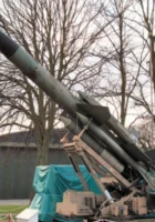 布里斯托尔猎犬