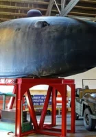 Интелигентна подводница на китове