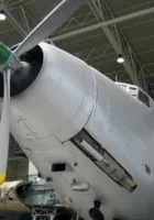 Savoia-Marchetti SM-82 Canguru