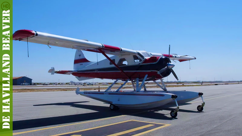 de Havilland Kanada DHC-2